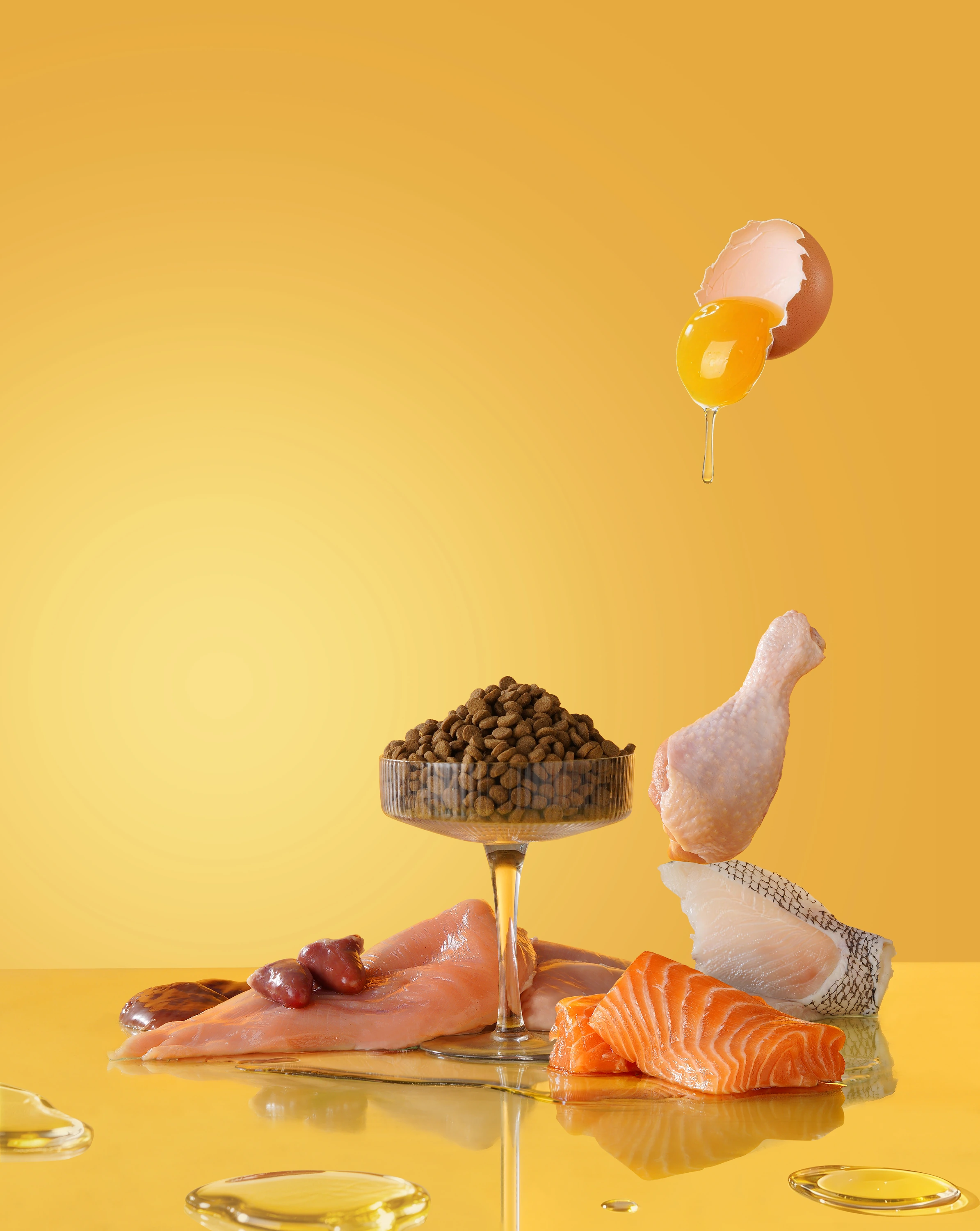 宠物食品 场景 3